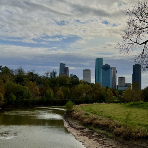 Houston se confruntă cu o creștere alarmantă a numărului de cadavre găsite în zone mlăștinoase