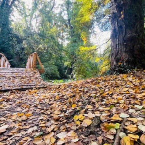 Prognoză ANM: răcire accentuată în toată țara între 3 și 7 noiembrie 2025