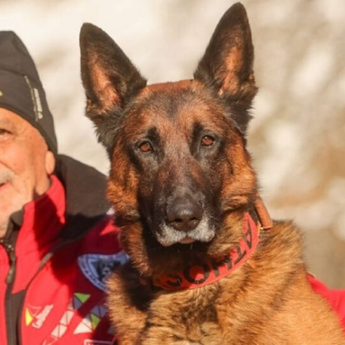 Salvator montan din Maramureș și câinele său au promovat examenul național în Munții Făgăraș