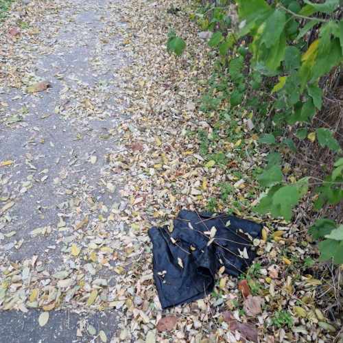 O pereche inedită de pantaloni de piele, surprinsă pe o alee din Galați