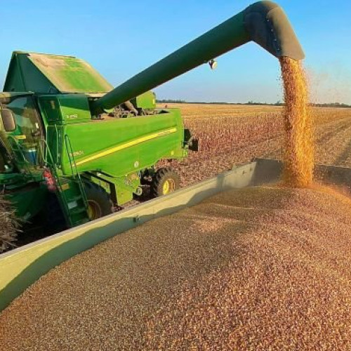 Randamente mai bune și schimbări în teren pentru agricultura din Iași în 2025