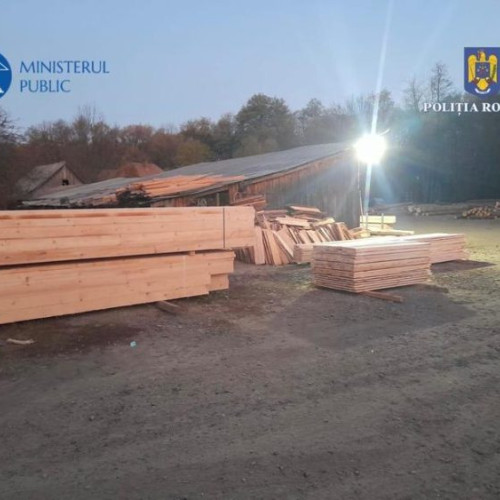 Mai multe dosare penale pentru tăieri ilegale de arbori în Maramureș și Bistrița-Năsăud