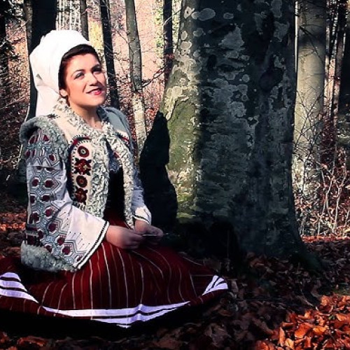 Concertul „Amintirea cerne” din Brașov, amânat pentru aprilie 2026