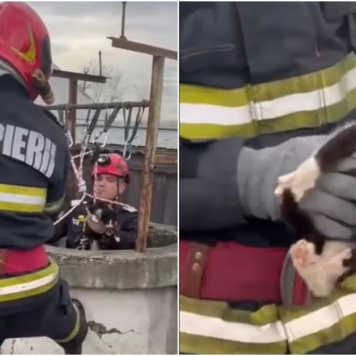 Pompierii băcăuani au salvat o pisicuță căzută într-o fântână secată
