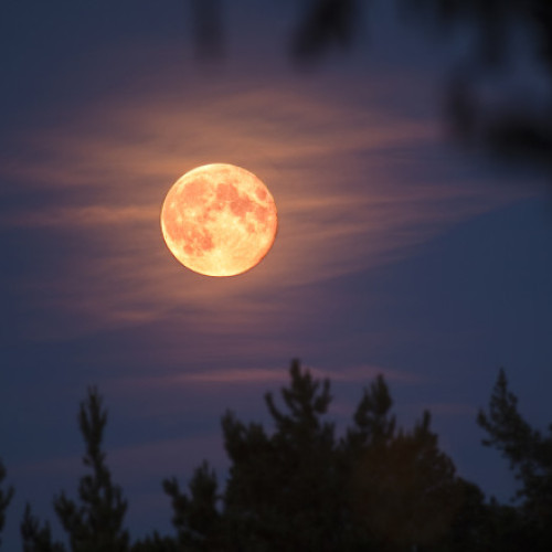 Super Luna Castorului, cel mai apropiat fenomen lunar din acest an, va putea fi observată miercuri
