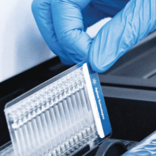 Descoperire promițătoare: imunoterapia elimină complet leucemia în teste preclinice