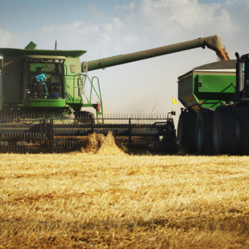 Subvenția eco-schema PD-28 pentru fermieri scade de la 58,18 la 20 euro pe hectar