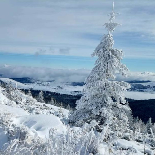 Vremea în iarna 2025-2026 va începe cu temperaturi peste medie, urmate de episoade reci