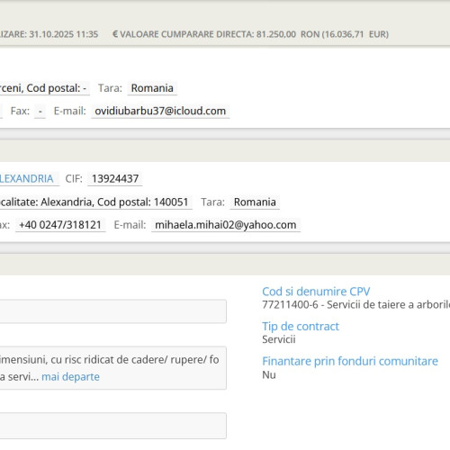 Alexandria a atribuit un contract pentru toaletarea a 625 de arbori în oraș