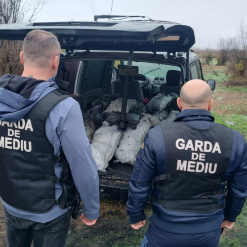 Acțiune în Dâmbovița: Amenzi de peste 550.000 lei pentru gestionarea ilegală a deșeurilor