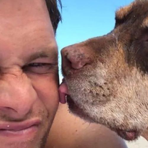 Tom Brady trăiește cu o clonă a câinelui său decedat în 2023