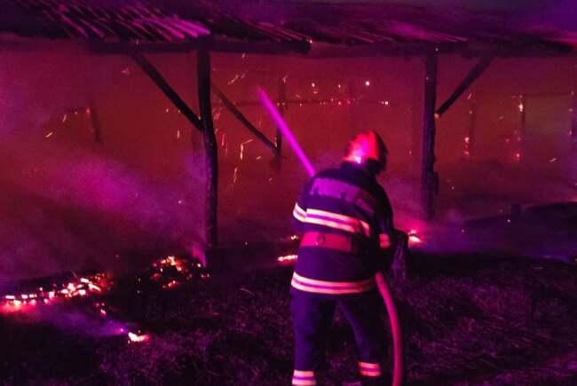 Incendiu puternic în subsolul unei case din Timișoara, pompierii au intervenit rapid