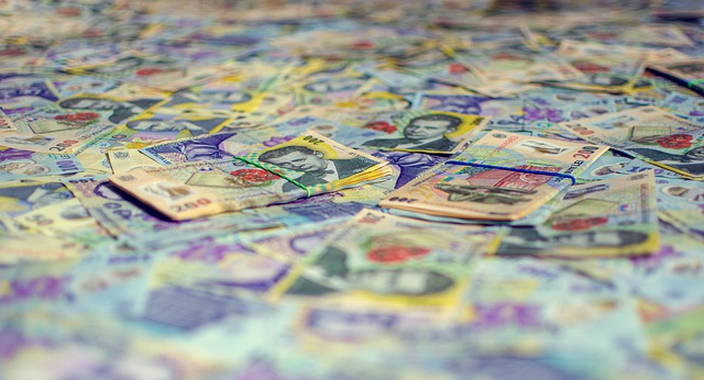 Contabil din Sector 5, acuzat că a delapidat peste un milion de lei din două școli