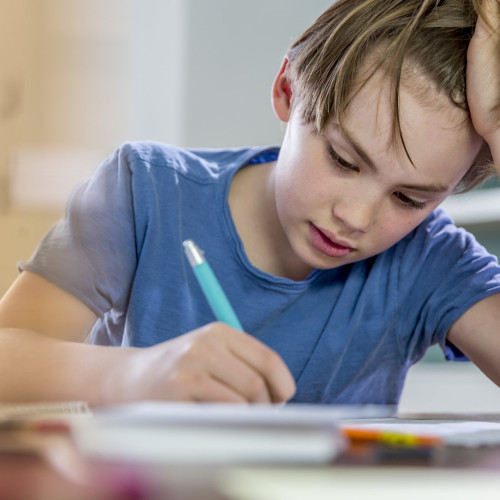 Ministrul Educației: timpul pentru teme trebuie respectat pentru rezultate bune