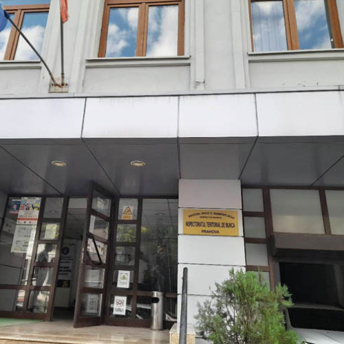 Clarificări privind utilizarea numelui N. Dumitrescu în materiale media