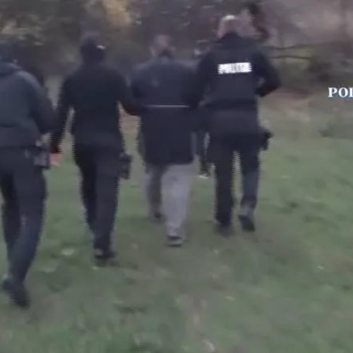 Bărbat reținut pentru trafic de canabis în județul Gorj