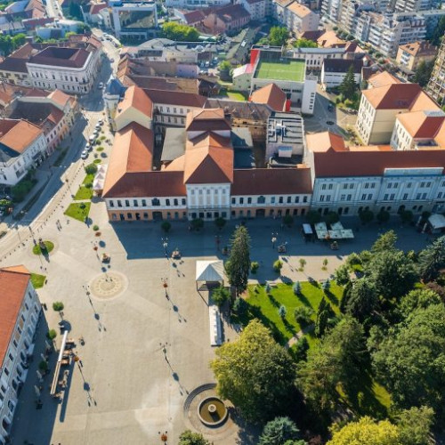 Câine maidanez a atacat patru persoane în Piața Libertății din Sfântu Gheorghe