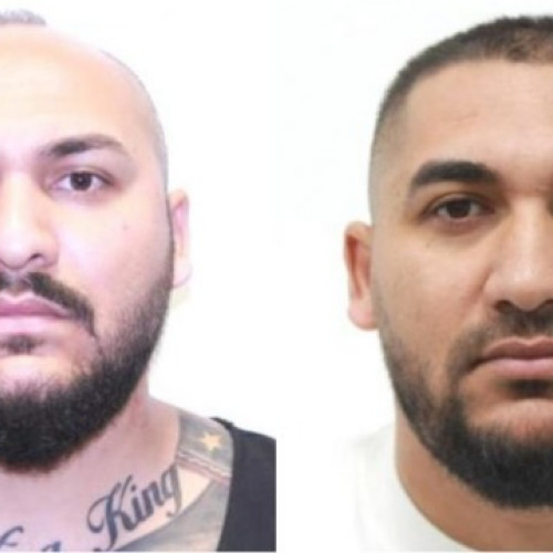 Manelistul Dani Mocanu și fratele său dați în urmărire pentru tentativă de omor