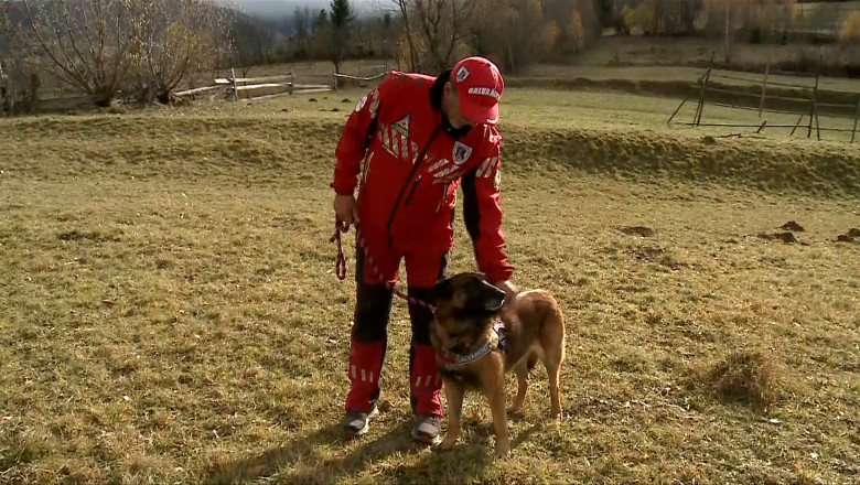 Athos, câinele salvamontist erou din Munții Maramureșului, pregătit pentru misiuni dificile
