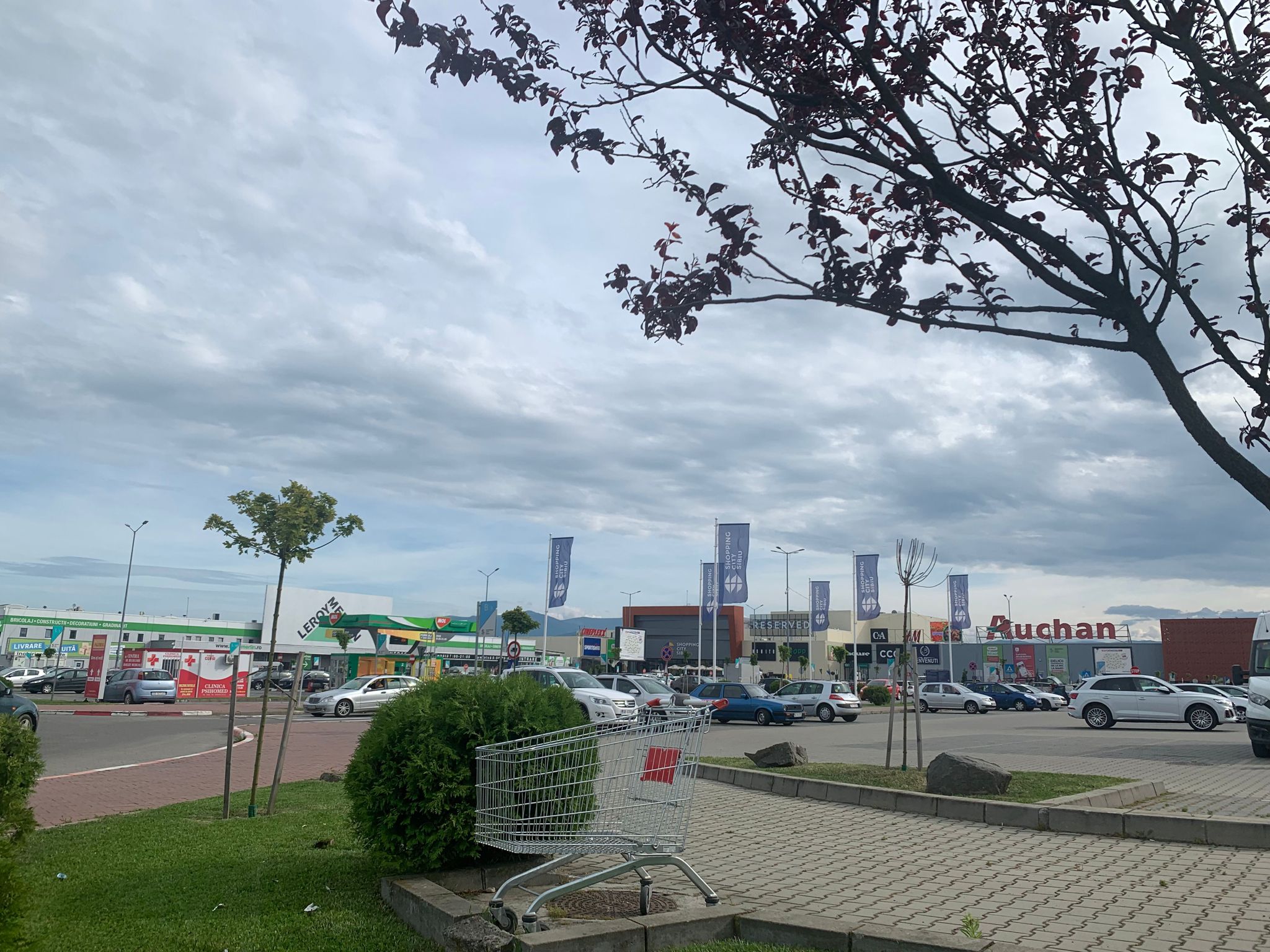 Produse pentru borș și supe, retrase din magazinele Auchan din cauza riscului de contaminare