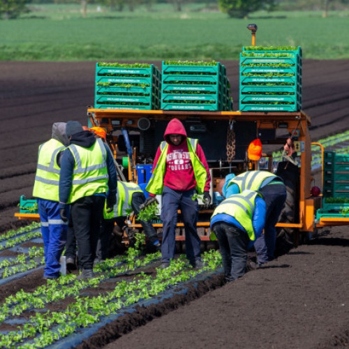 Acord provizoriu pentru simplificarea politicii agricole comune în UE
