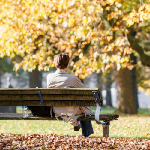 Prognoza meteo: alternanțe de temperaturi și precipitații până la mijlocul lunii noiembrie