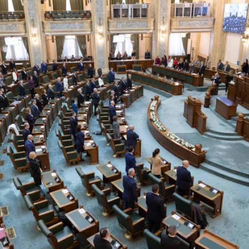 Senatul a ținut un moment de reculegere pentru femeile ucise în acest an în România