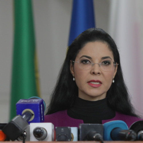Ana Birchall susține că vicepremierul Oana Gheorghiu poate sesiza procurorii după plângerea CSM