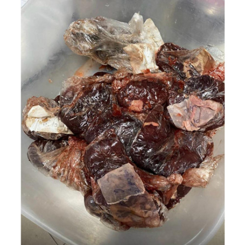 Peste 700 de controale ale DSVSA Brăila pentru prevenirea bolilor animale în octombrie