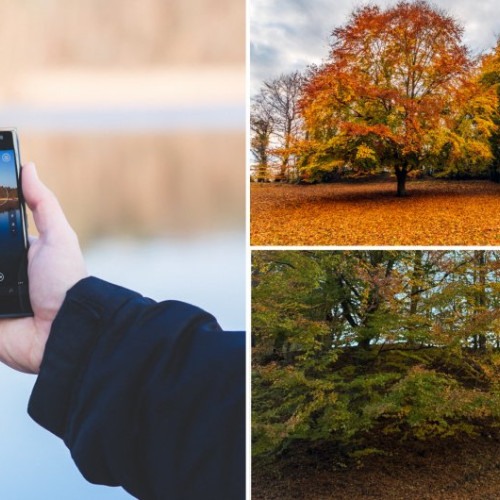 Cosmin Lăutar: fotografia reușită depinde de atenție, nu de aparat