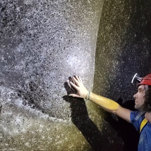 Cercetătorul român a descoperit cea mai mare pânză de păianjen din lume în Europa