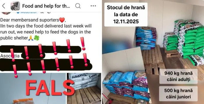 Adăpostul canin din Craiova are suficiente rezerve de hrană pentru câini