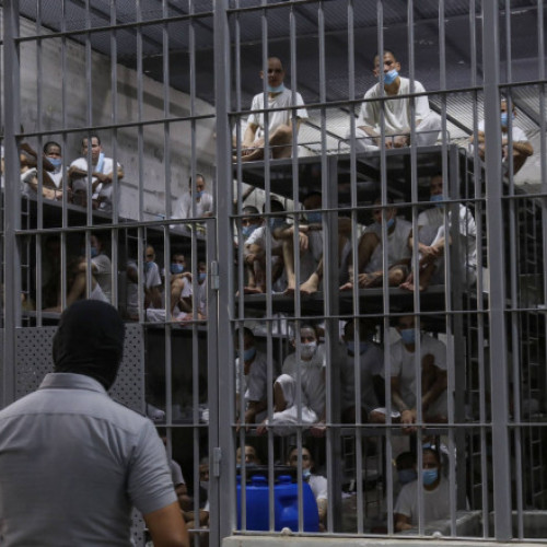 Apărătorii drepturilor acuză administrația Trump de complicitate la torturarea venezuelenilor în El Salvador