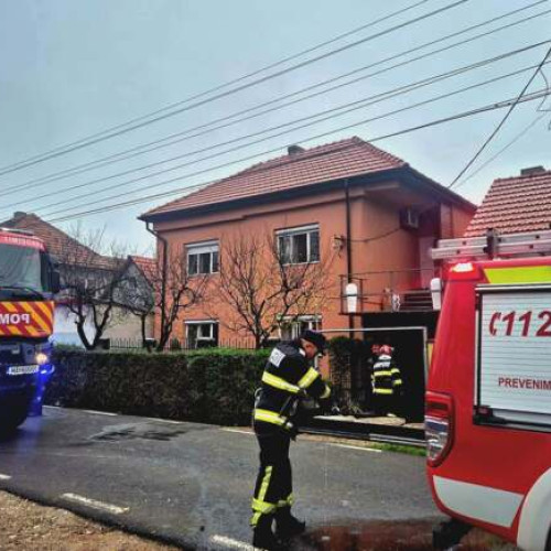 Incendiu la o anexă în Timișoara, intervenția pompierilor a evitat extinderea la locuință