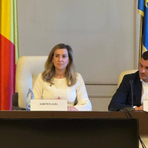 Deputatul Dumitrița Albu atrage atenția asupra sindromului depresiv al femeilor din diaspora