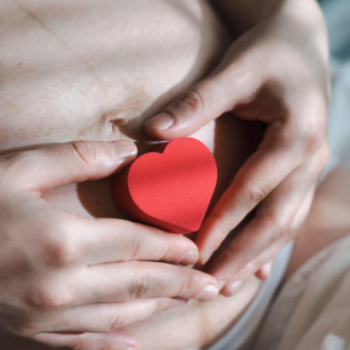 Programul național de fertilizare in vitro va fi finanțat din fonduri europene