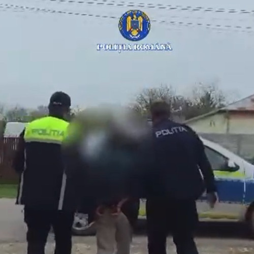 Trei bărbați reținuți în Teleorman pentru violență domestică