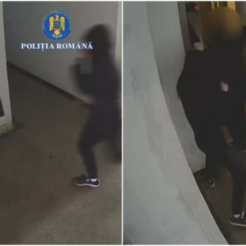 Adolescenți reținuți după ce au furat poșeta unei femei în Timișoara