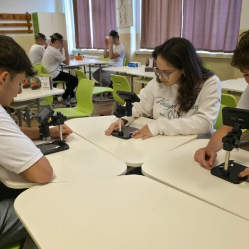 Liceul Alexandru Marghiloman din Buzău a finalizat proiectul „Fii SMART” pentru educație digitală