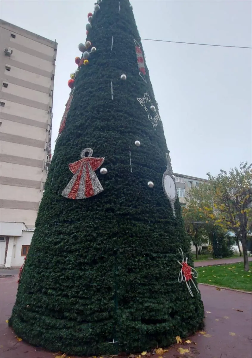 Bradul de Crăciun din Craiovița Nouă, apreciat ca „obosit înainte să se aprindă”