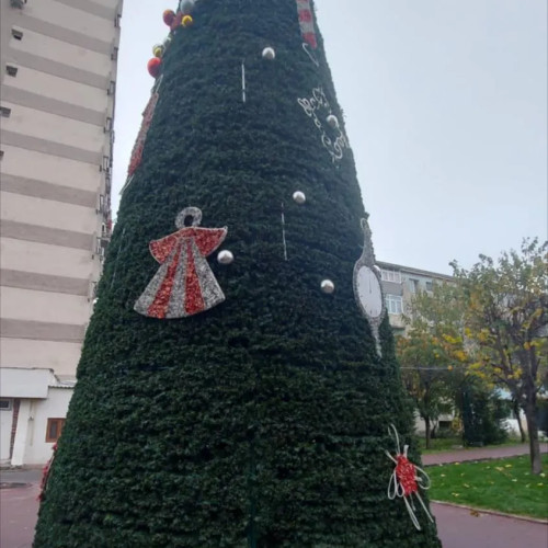 Bradul de Crăciun din Craiovița Nouă, apreciat ca „obosit înainte să se aprindă”