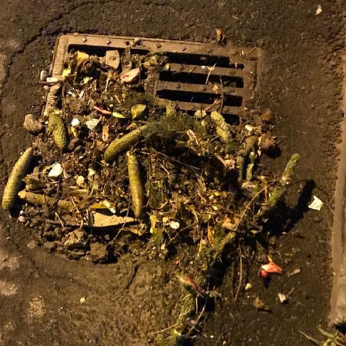 Cartierele schei și tractorul, cele mai afectate de inundații în brașov