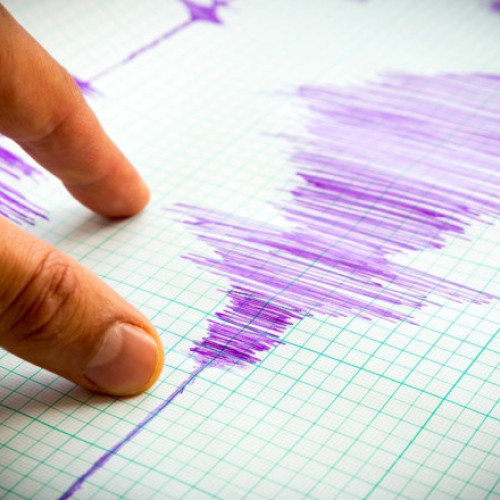 Cutremur de magnitudine 2,9 în zona seismică Vrancea, anunță Institutul pentru Fizica Pământului