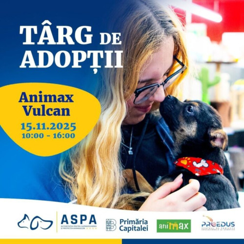 Târg de adopții de căței organizat la Animax Vulcan în București