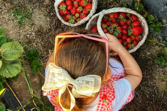 Introducerea timpurie a arahidelor reduce riscul alergiilor la copii