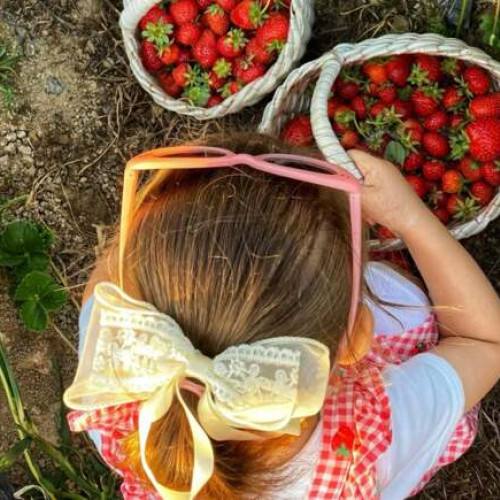 Introducerea timpurie a arahidelor reduce riscul alergiilor la copii