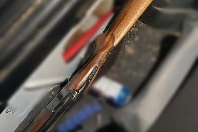 Bărbat din Timiș prins cu porc mistreț vânat ilegal și fără autorizație