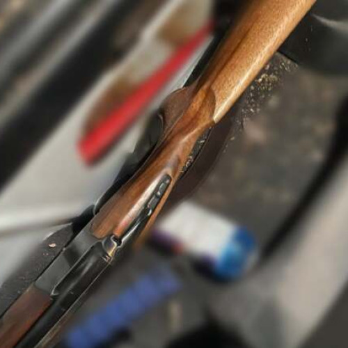 Bărbat din Timiș prins cu porc mistreț vânat ilegal și fără autorizație