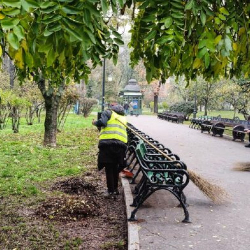 Acțiuni de îngrijire și plantare în spațiile verzi din Capitală continuă în Centrul Istoric