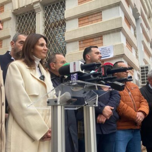 Anca Alexandrescu și-a depus oficial candidatura la Primăria București